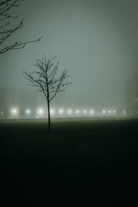 Bare tree on field against sky at night