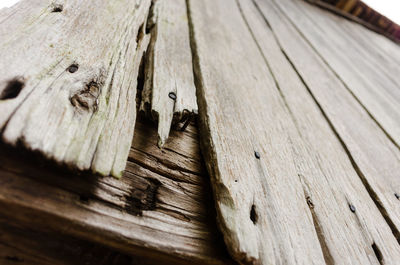 Close-up of wood