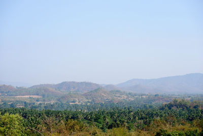 Scenic view of field against clear sky