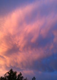 Low angle view of silhouette trees against dramatic sky