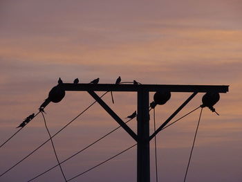 Low angle view of birds perching on pole against sky during sunset