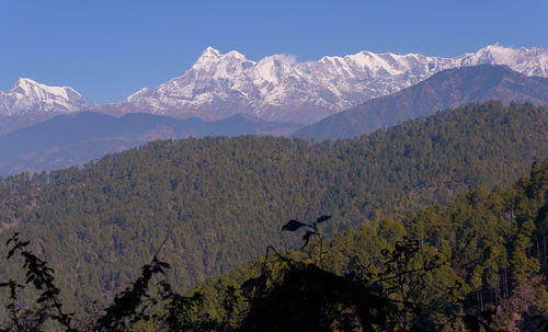 mountain