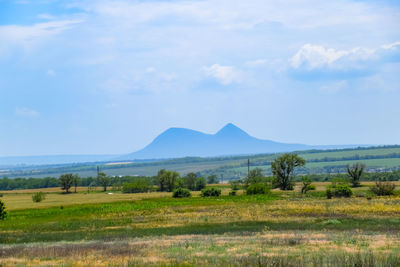 Scenic view of field against sky