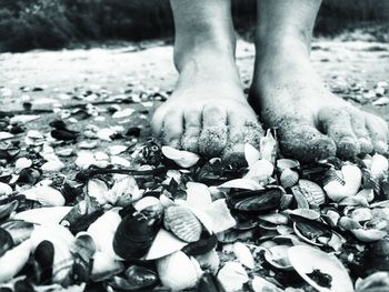 Low section of person standing on pebbles at beach