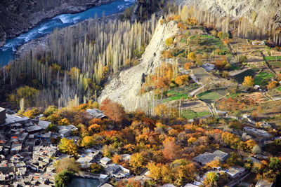 High angle view of autumn trees