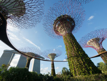 Low angle view of tree against sky