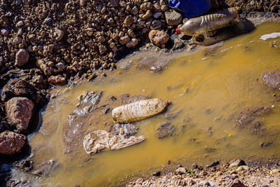 High angle view of rock formation in sea