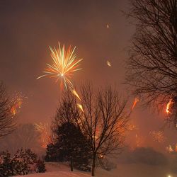 Low angle view of firework display