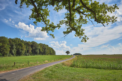 Road by trees on field against sky