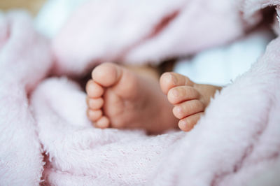 Low section of baby feet in blanket