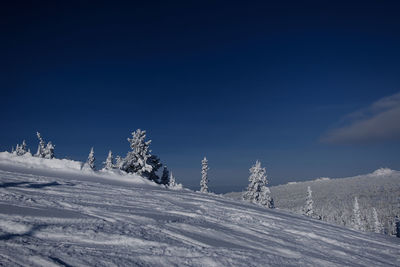 Sunny winter morning in the mountains of sheregesh on the ski track