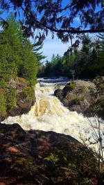 Scenic view of waterfall in forest