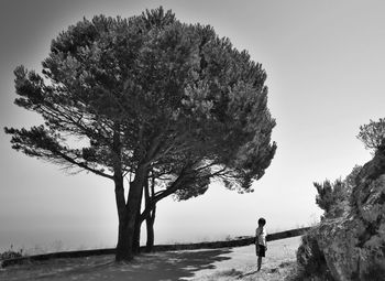 Rear view of man walking on road