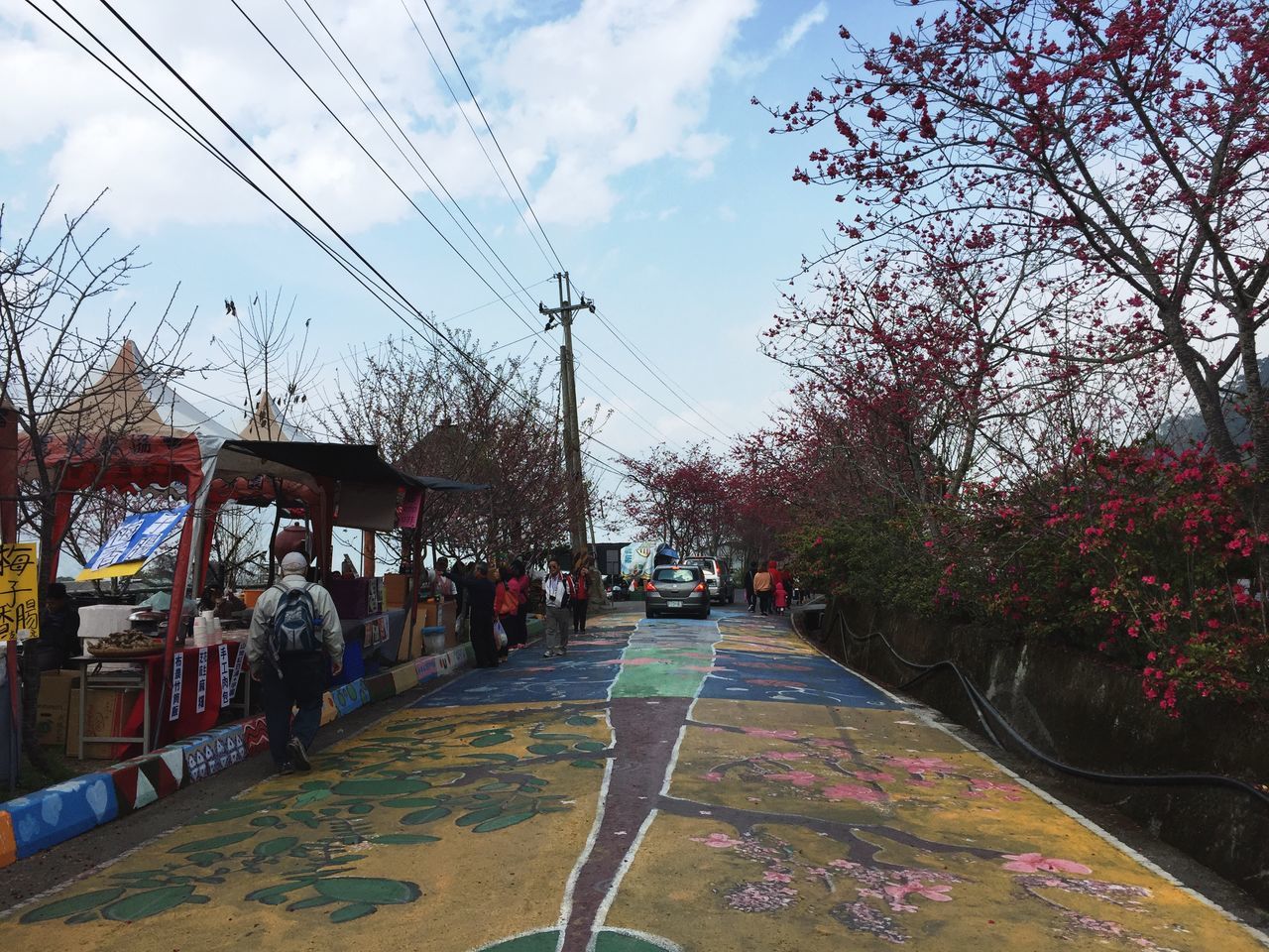 sky, large group of people, men, person, lifestyles, tree, transportation, walking, leisure activity, the way forward, street, cloud - sky, mixed age range, cloud, road, day, medium group of people, outdoors, mode of transport