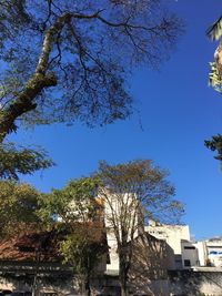 Low angle view of trees and buildings against blue sky