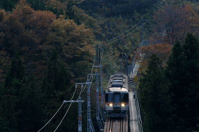 High angle view of local train crossing a bridge in autumn season