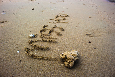 Close-up of footprints on sand at beach