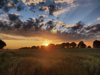 Scenic view of field against sky during sunset