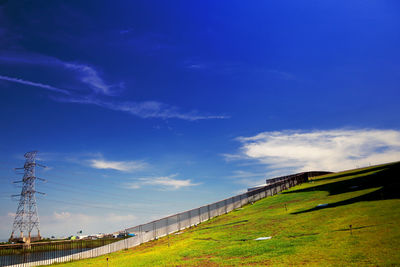 Low angle view of grass on field against sky