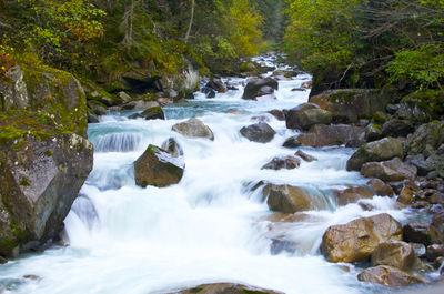 Scenic view of waterfall in forest