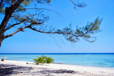 Scenic view of sea against clear blue sky