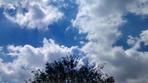 Low angle view of trees against blue sky