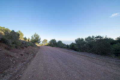 Empty road along plants and trees against sky