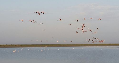 View of trees against sky