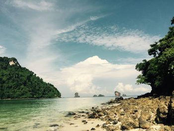 Scenic view of sea against sky