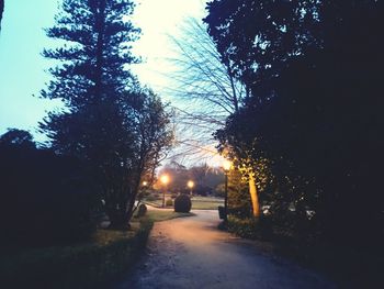 Road passing through forest