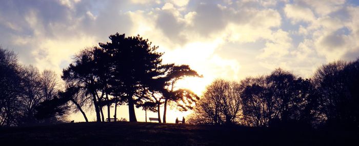 Silhouette trees against sky during sunset