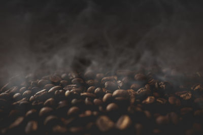 Close-up of coffee beans