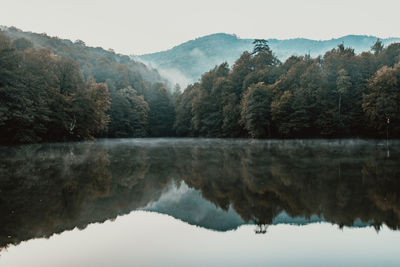 Reflection of trees in lake against sky