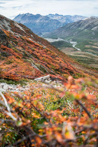 Scenic view of landscape against sky during autumn