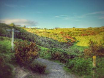 Road passing through landscape