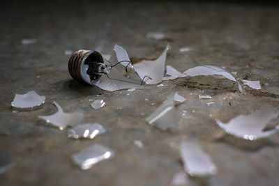 Close-up of broken glass on table