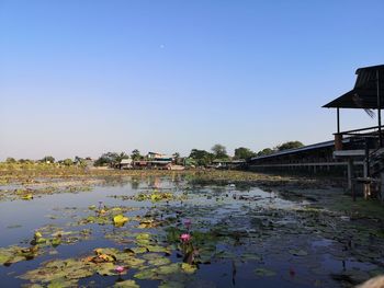 Scenic view of lake against clear sky