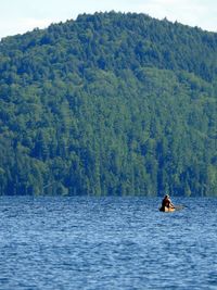 Man on boat in lake against trees