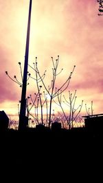 Low angle view of silhouette trees against sky at sunset