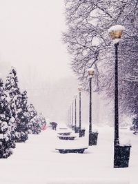 Close-up of snow covered tree against sky