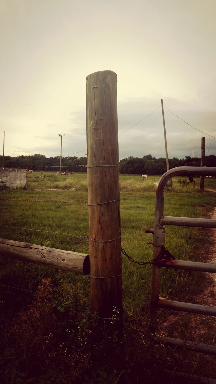 grass, field, sky, fence, grassy, landscape, protection, tranquility, safety, security, nature, built structure, wood - material, wooden post, day, no people, tranquil scene, old, outdoors, metal