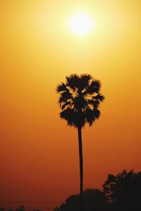 Low angle view of silhouette tree against sky during sunset