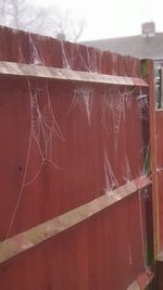 Close-up of spider web on railing against wall