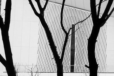 Low angle view of silhouette tree against sky seen through window