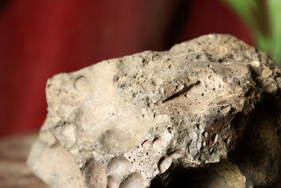 Close-up of rock