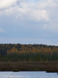 Scenic view of lake by trees against sky