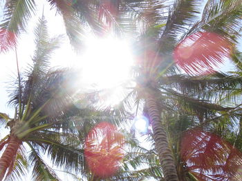 Low angle view of tree against sky