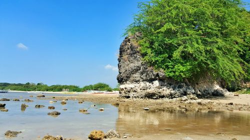 Scenic view of beach