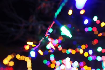 Close-up of illuminated christmas tree at night