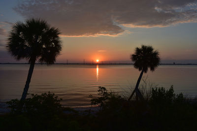 Silhouette palm tree by sea against sky during sunset